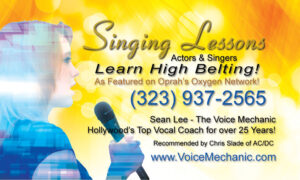 Voice Mechanic promotional poster for vocal lessons