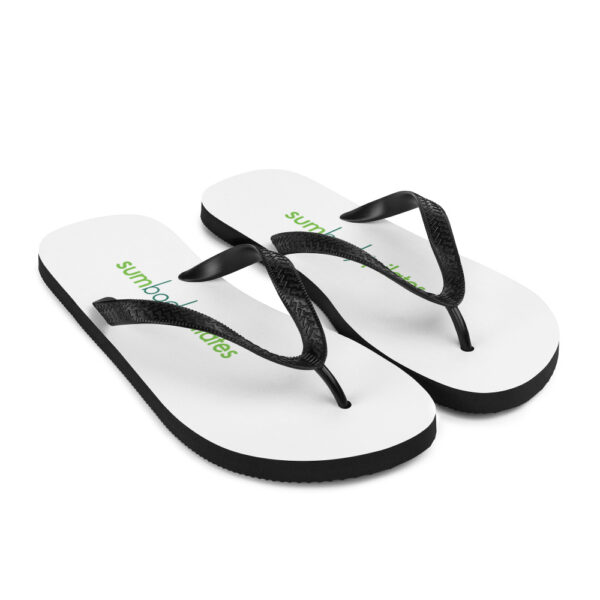 sumbody pilates flip flops